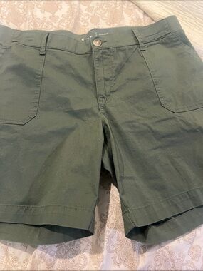 Lee Olive Green Flat Front Men's Shorts